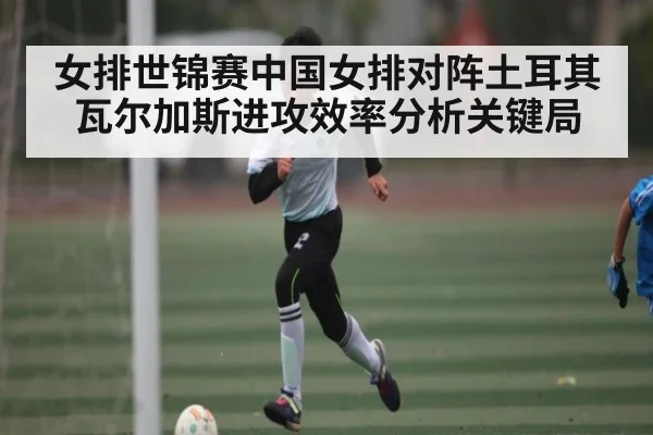 女排世锦赛中国女排对阵土耳其瓦尔加斯进攻效率分析关键局